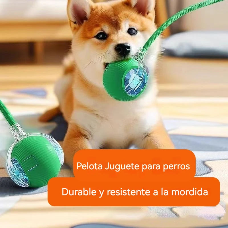 Pelota Inteligente para Perros: Juguete Interactivo con Rodamiento Automático y Recarga USB